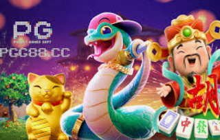 pg入口免费版