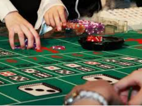 pg入口电脑免费版